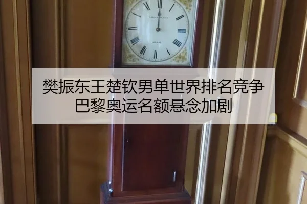 fan-zhen-dong-wang-chu-qin-nan-dan-shi-jie-pai-ming-jing-zheng-ba-li-ao-yun-ming-e-xuan-nian-jia-ju-2-305.jpg